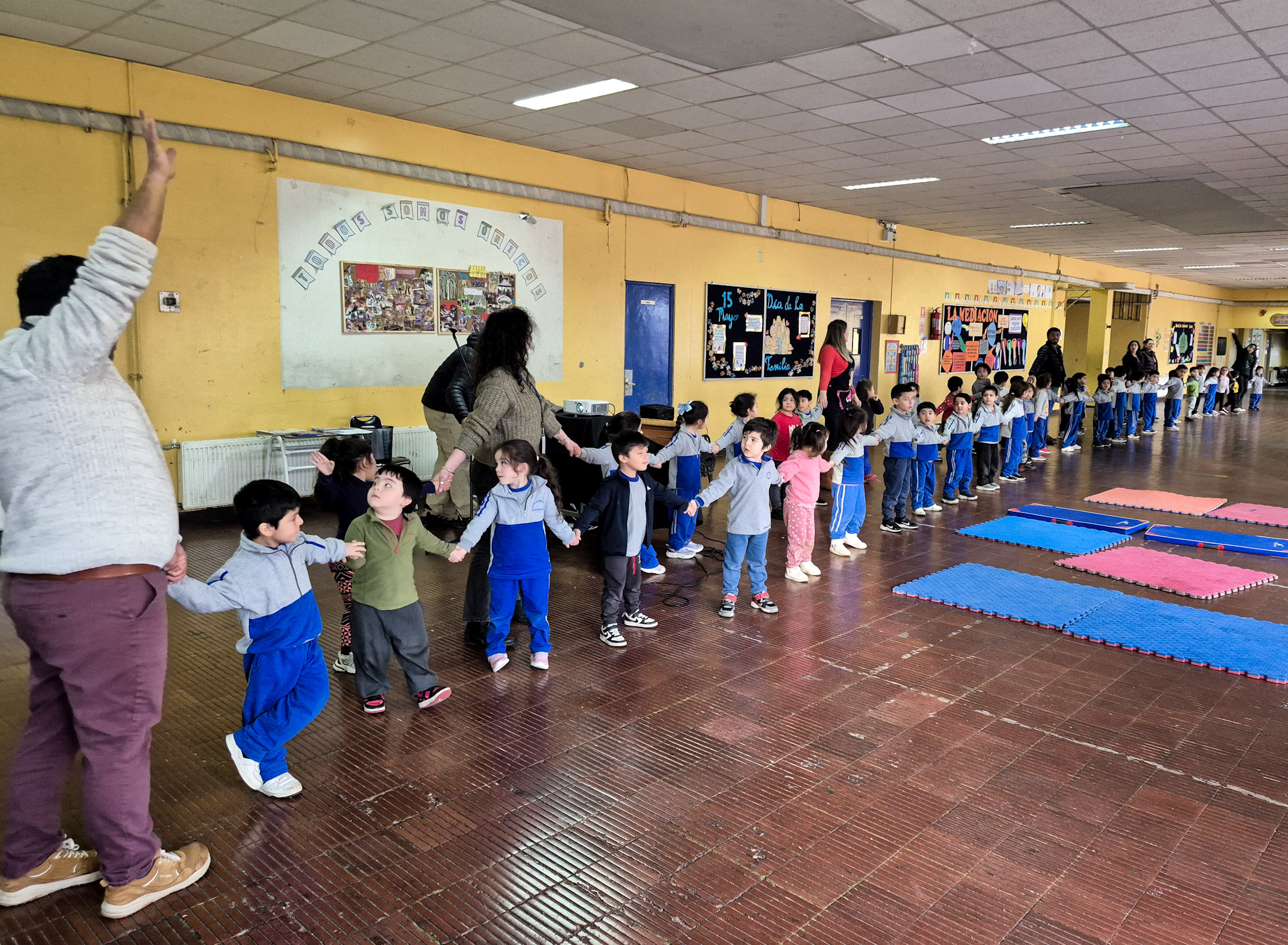 hilera humana cetaceo