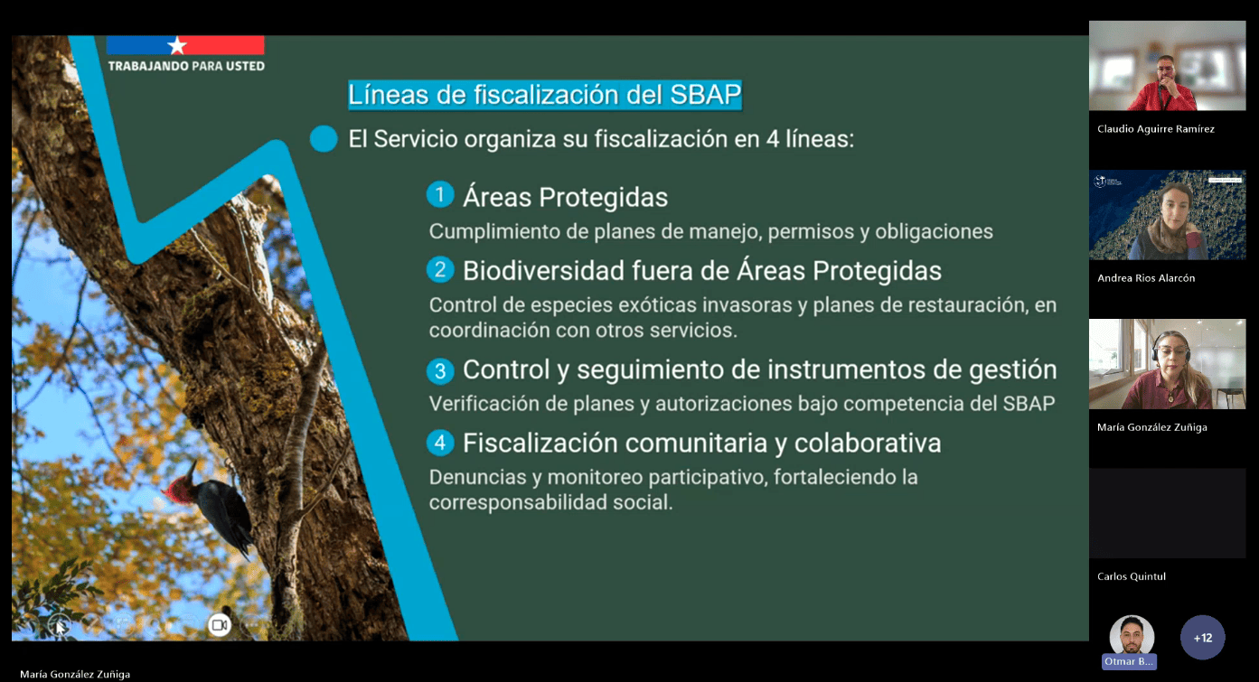 lineas de fiscalización