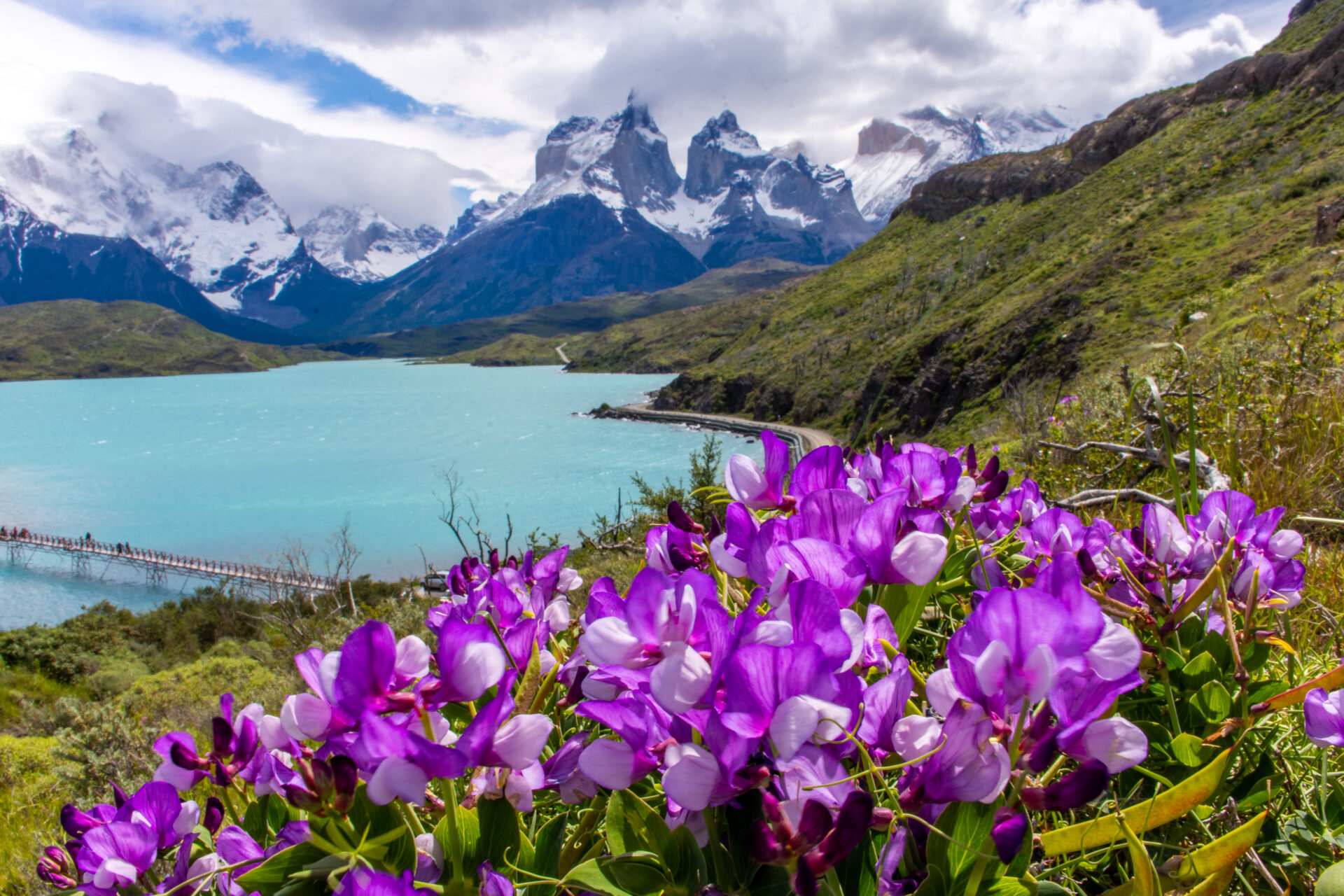 Torres del Paine