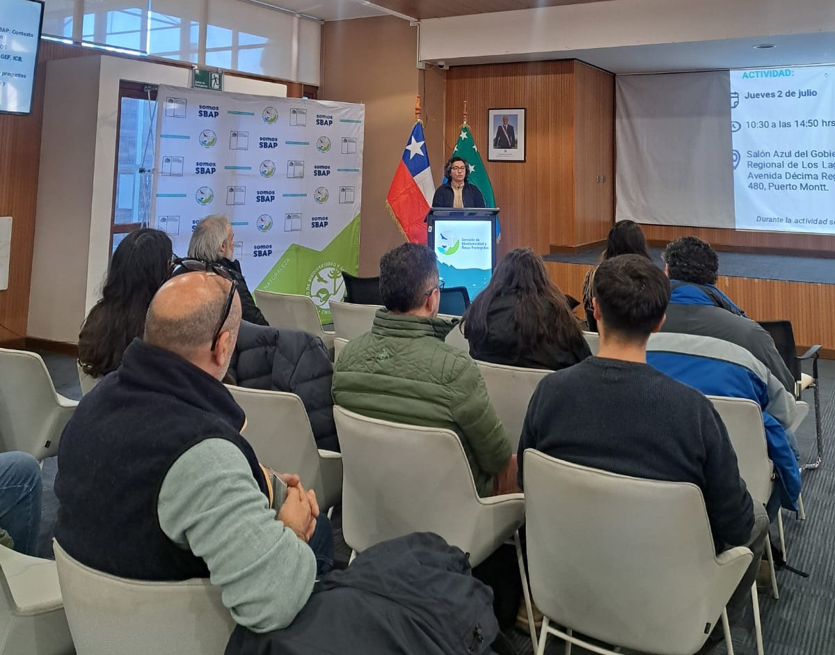 directora regional Los Lagos